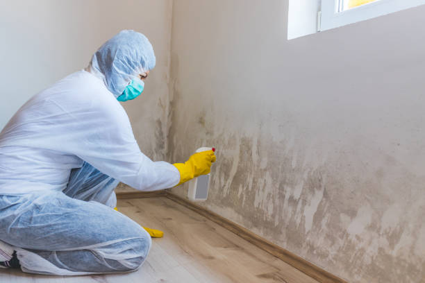 Crawl Space Mold Remediation treatment of floor joists in Ocean Grove
