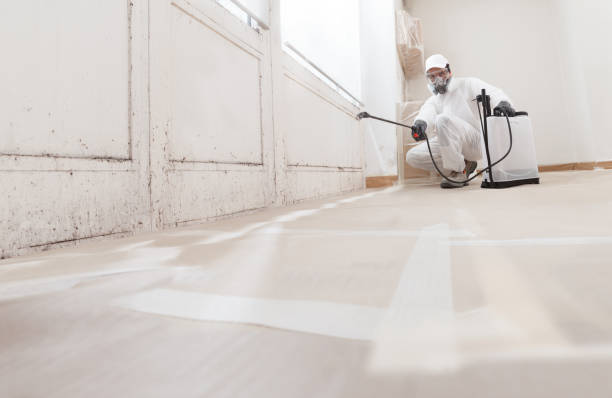 Black mold remediation team in Ocean Grove